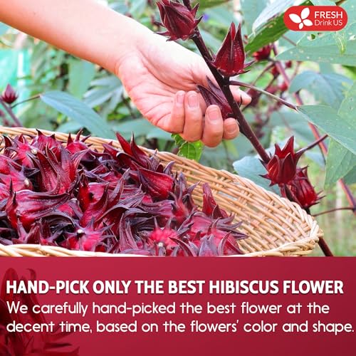 Image of FreshDrinkUS, Premium 16oz Hibiscus Flower Powder, 100% Natural and Pure from Hibiscus Flowers, Natural Food Coloring, No Additives, No Gluten, No Sugar, Vegan