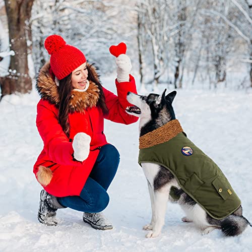 IREENUO Hundemantel, wasserdicht, Hundebekleidung mit Verstellbarer Schnalle für mittelgroße und große Hunde, Wintermantel für Hunde (Grün, M)
