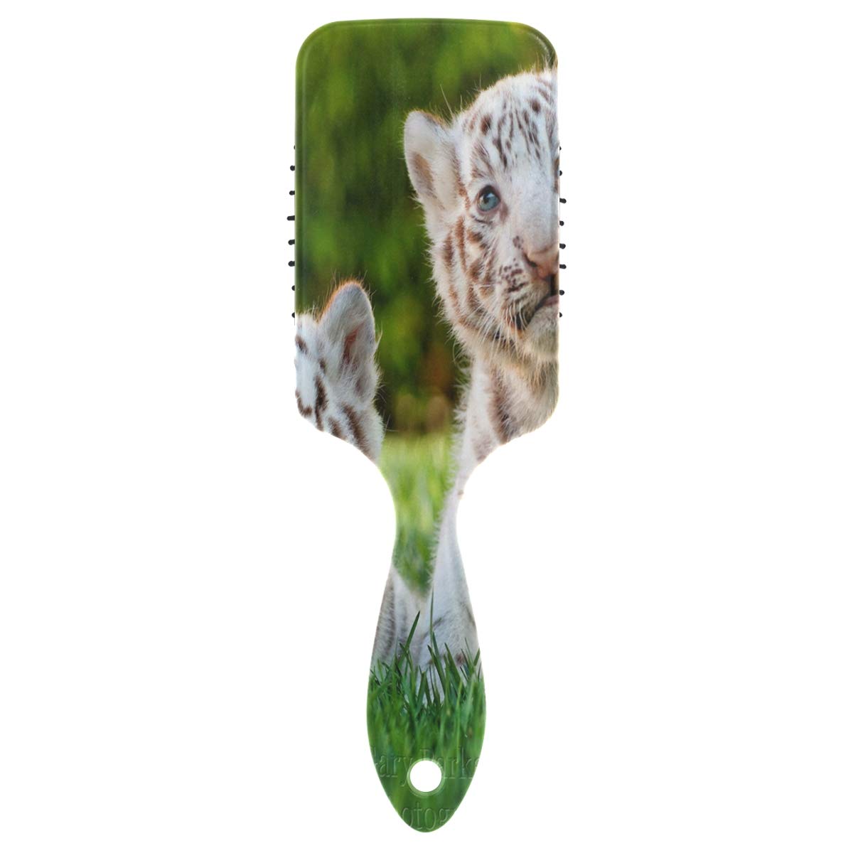 Cute White Tiger Baby Cubs Hair Brush with Grip Handle Massage Scalp Plastic Hairbrush Detangler Vented Nylon Pins Air Cushion Tickling Comb Anti Static & Frizz, for Thick Curly Wet Dry Hair
