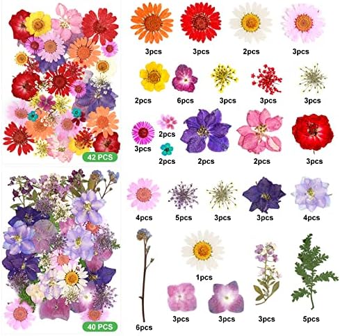 Real Dried Pressed Flowers for Resin - 188 PCS Natural Dried Flowers Mixed Pressed Daisies Dry Flower Resin Art Butterfly Nail Stickers