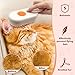 Dcoinc Cloud Care Cat Brush, Cat Steam Brush for Shedding, 4-in-1 Self-Cleaning Pet Steam Brushs for Long and Short Hair Cats and Dogs Grooming Supplies