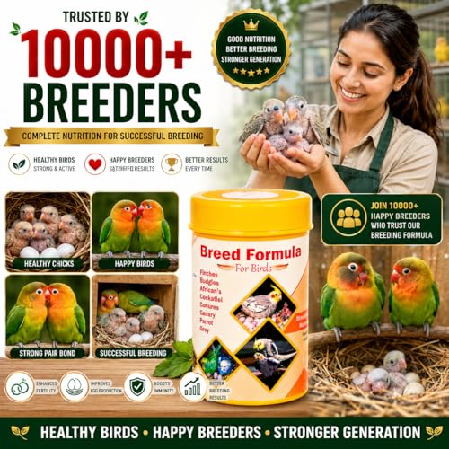 Image of Breeding Formula for Birds (200 Grams) | Fertility Support | Egg Production | Breeding Nutrition | Healthy Chicks | Cockatiel | Budgie | Lovebird | Conure | African Grey