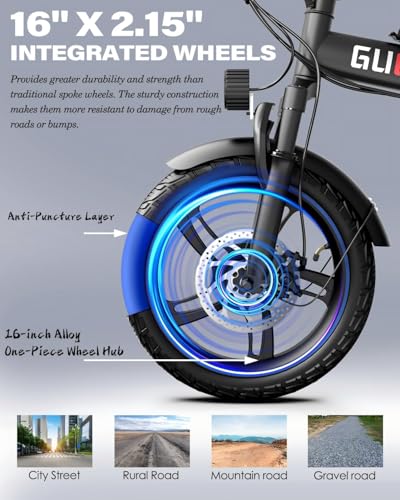 Rakowe Folding Electric Bike