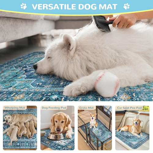 Image of Lahome Reusable Washable Puppy Pads - 2 Pack Super Absorbent & Waterproof Dog Training Mats for Potty, Crate and Floor - Leakproof Pee Pads with Non-Slip Backing (Blue, 36 inchx48 inch)