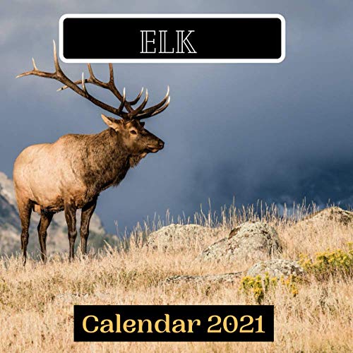 Elk Calendar 2021