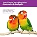 F.M. Brown's Tropical Carnival, Natural Spray Millet, Daily Natural Foraging Treat for Seed-Eating Birds, Sun-Cured and Preservative Free, 4 oz Bag (7 Pack)