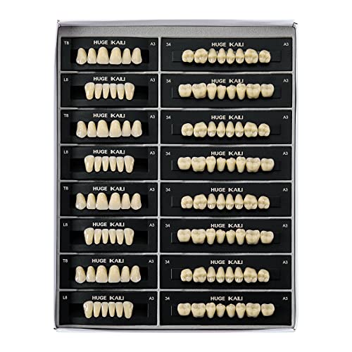 112 Pcs Dental Acrylic Resin Denture False Teeth Shade A3 T8, 4 Sets Synthetic Polymer Resin Fake Teeth for Replacement, Halloween, DIY (28pcs/set)
