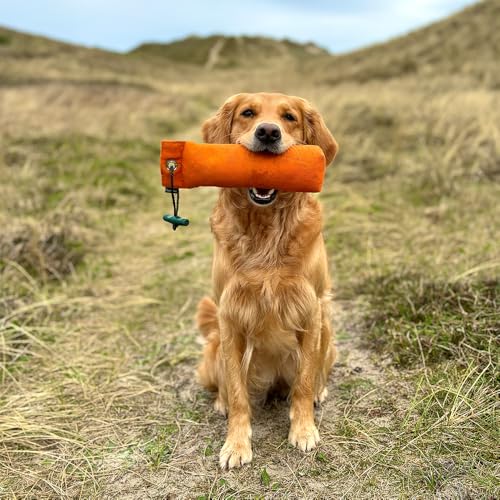 Romneys Hundetraining Dummy 500g - Robust & Schwimmfähig, Apportierprüfungen Zugelassen - Ideal für Wasserarbeit, aus Reißfestem Canvas (orange)
