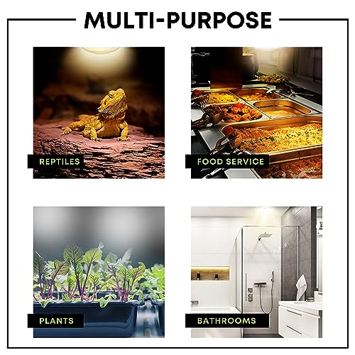 Kor K22546 250R40/1 250-Watt, Incandescent R40 Reflector, Clear Head Lamp, Heat Flood Lamp Light Bulb thumb #5