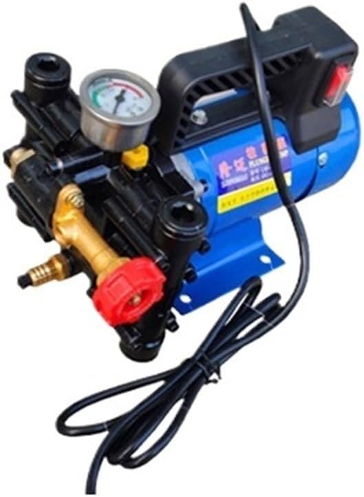 Agricultural Electric High Pressure Pump Spraying Watering Car Wash Irrigation Double Cylinder Piston 12V/24V/48V/60V/220V(12V)