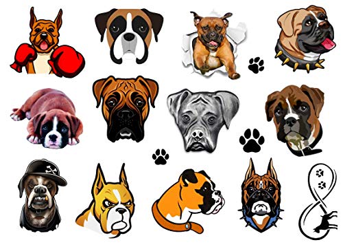 bOXER PERRO BOXEADOR Colección cOLLECTION (Boxer Dog Temporary Tattoos)