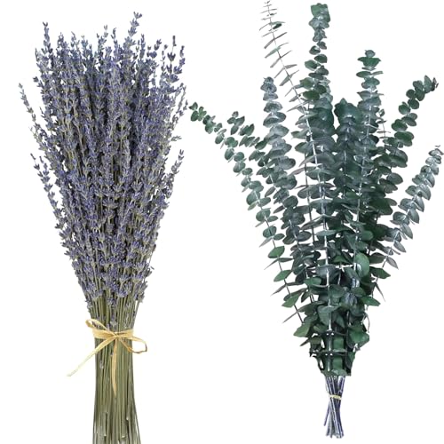 Eucalyptus gedroogd, gedroogde en gedroogde lavendel, natuurlijke gedroogde bloemen, doe-het-zelf boeket droogbloemen, pampasgras, buisbloem, decoratie, ideaal voor boho, woonkamer, slaapkamer.