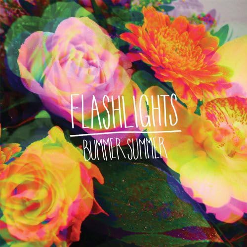 Bummer Summer [Audio CD] Flashlights and Scott Hutchison