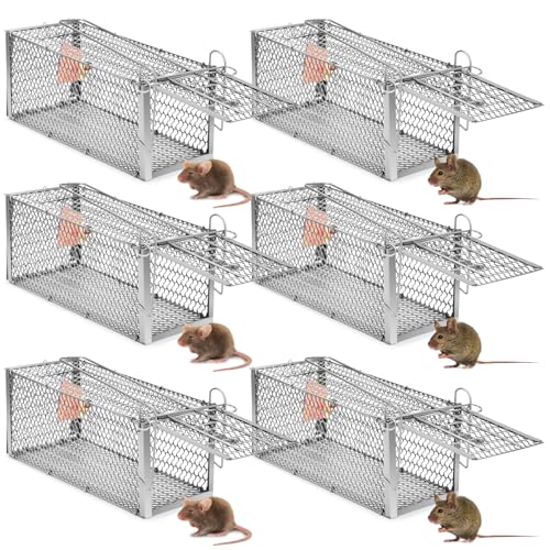 Qualirey lIȃlY~gbv ^V}X lY~P[W ޓ n^lY~̃nX^[P[W Lb`Ah[Xgbv z[K[f  Op (Vo[A10.6 x 5 x 5C`) 6