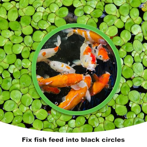 Image of PAGOW 10pcs Fish Feeding Rings Set, Floating Aquarium Plant Corral, Round Fish Feeder Rings for Fish Tank, Floating Plant Ring, Fish Tank Aquarium Accessories for Betta (Green)