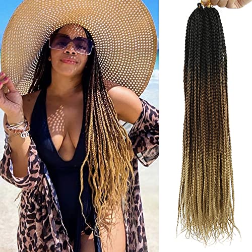 6 Packs Box Braids Crochet Hair Crochet Box Braids Pre-Looped Synthetic Hair Crotchet Box Braids Hair 22 Inch (Ombre Brown, 22Inch) … #TOP1