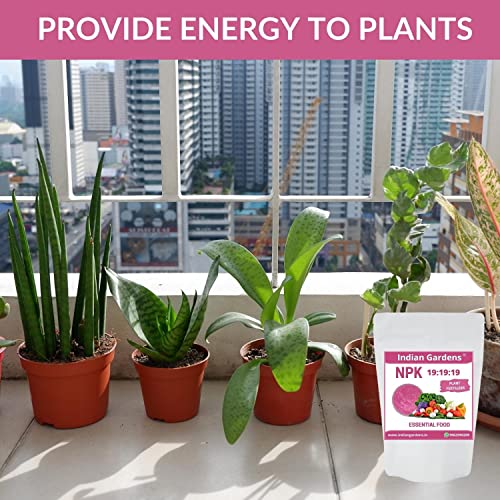 Image of Indian Gardens NPK 19:19:19 Fertilizer for Plants And Plant food | Flowering Booster and Growth - 1 Kg