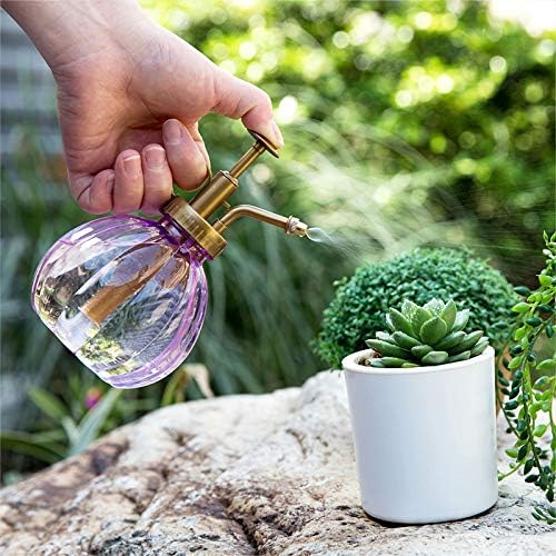 Rocutus 1pcs Plastic Cute Pumpkin Shape Watering Spray Can,Plant Mister Adjustable Nozzle Watering Can for Garden,Indoor Plants,Office Plants,Suitable for Men Women Boy and Girls (Blue)