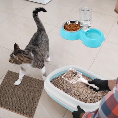 Kit de inicio para gatitos con caja sanitaria azul y accesorios miniatura 6