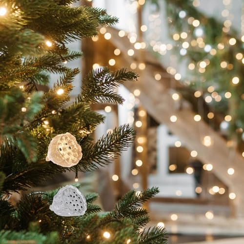 12 piezas de decoración con semillas de loto secas naturales miniatura 4