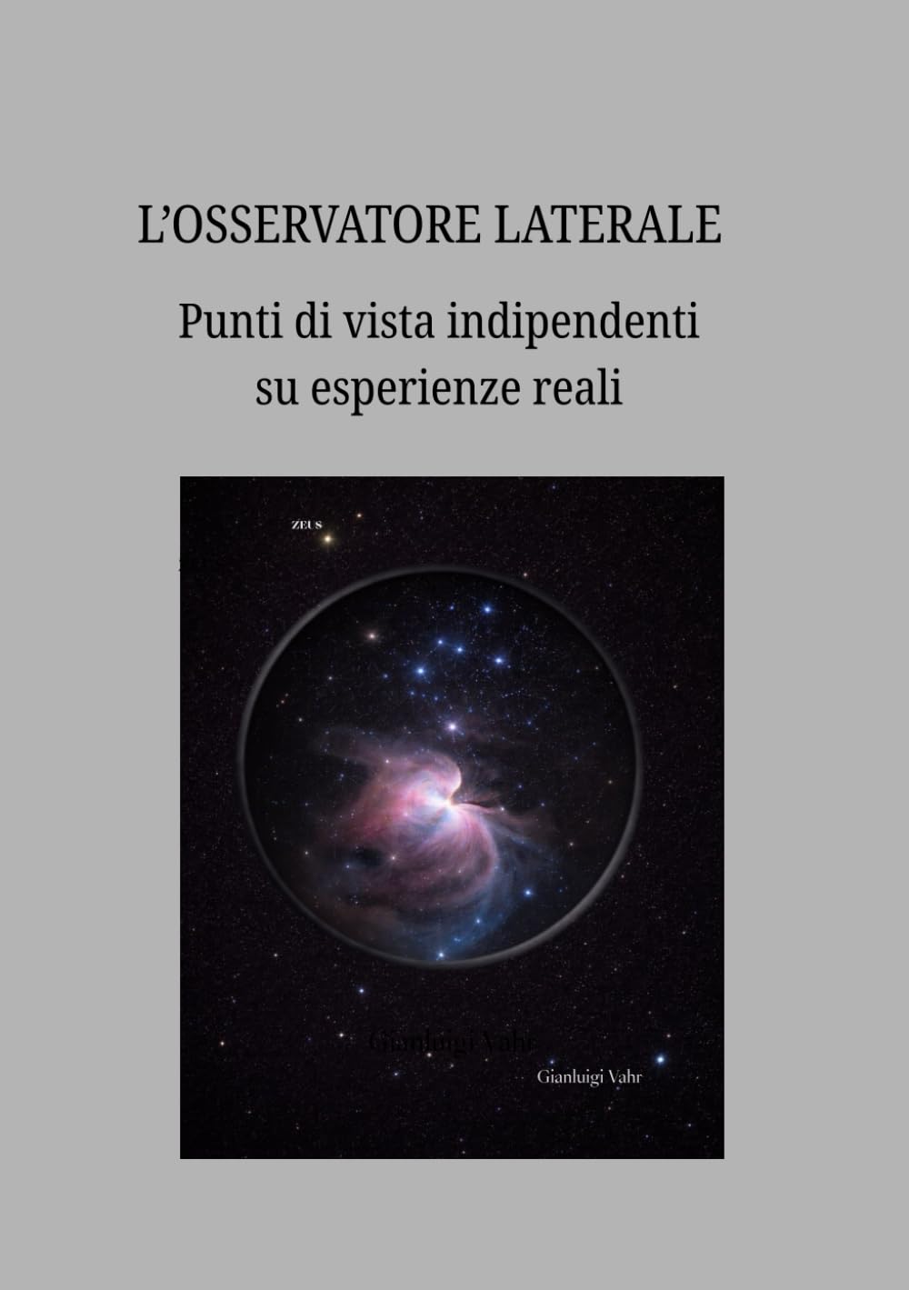 L'osservatore laterale: Punti di vista indipendenti su esperienze reali