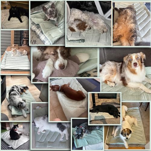 UIQELYS Kühlmatte für Hunde Eisgrün, ohne Gel, Oberseite aus kühlem Stoff und Rückseite aus Samt, waschbar, Kühlkissen für Hund, Sommerlinderung für Welpen und Kätzchen (Eisgrün, A-91x58 cm)