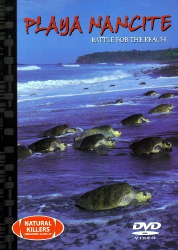 Playa Nancite Battle for the Beach (Natural Killers Predators Close Up, 46) by John Hedges