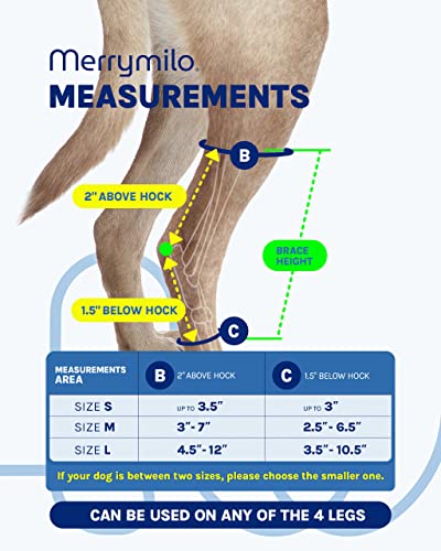 Image of Dog Leg Brace, 1 Pair Rear Hock & Ankle, Canine Hind Leg Joint Compression Wrap for Torn ACL & CCL, Injury and Sprain Protection, Wound Care and Loss of Stability, Size: M(2 Pack)