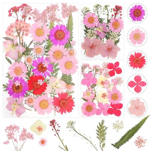 Fiori Secchi Decorativi Naturali per Resina, Gioielli e Artigianato Fai da Te - Fiori Essiccati per Decorazioni (Rosa)