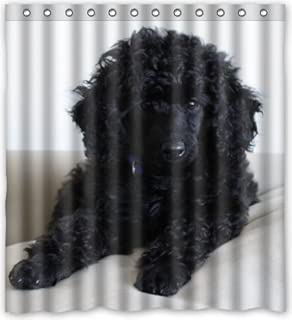 Amazon Com Poodles Bathroom Accessories Bath Home Kitchen