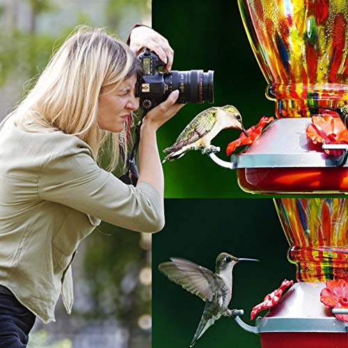 Pop Your Dream Hand Blown Glass Hummingbird Feeder for Outdoors, Window, Garden, Backyard Decorative - Easy to Clean & Fill, 35 Ounces Nectar Capacity