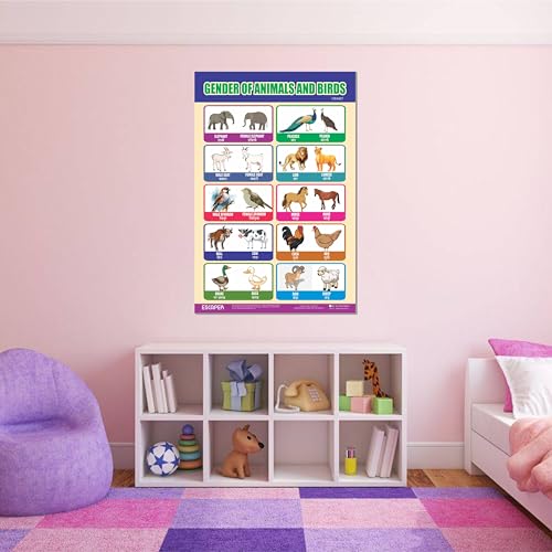 Image of ESCAPER Gender of Animals & Birds Educational Charts for Kids, (11.5 x 17.5 inches), Kids Study Material, Learning Chart, Perfect For Home Schooling, Nursery Students