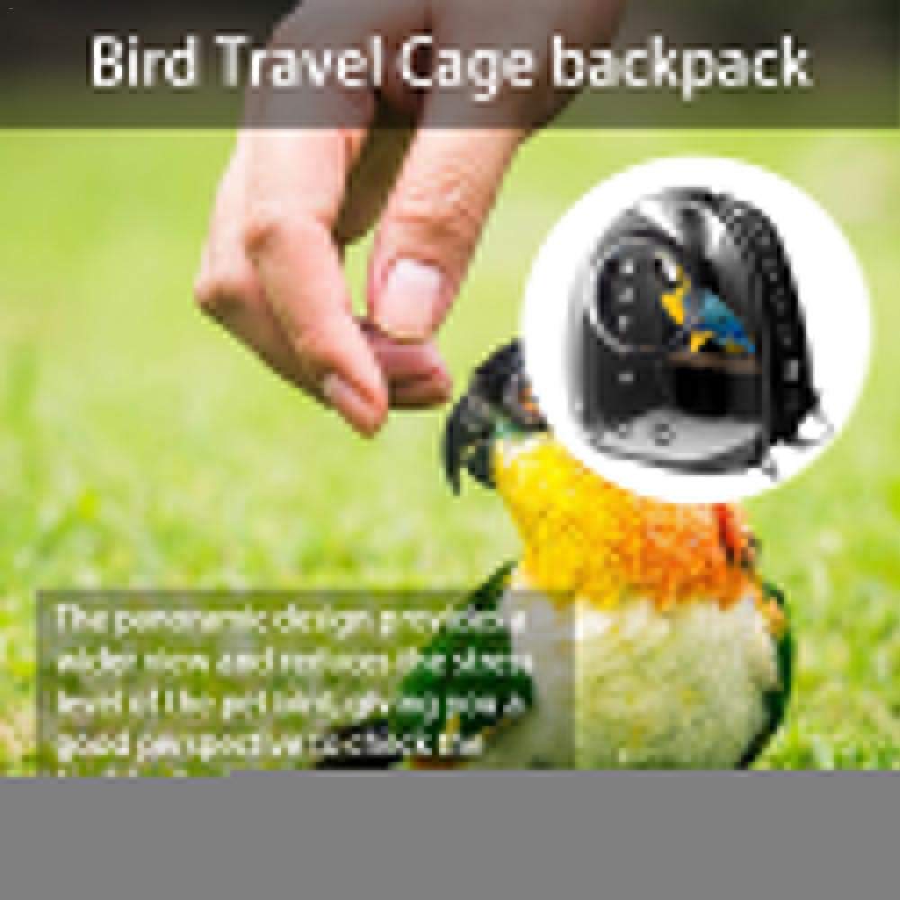 Mochila de transporte para loro, cápsula de espacio transparente