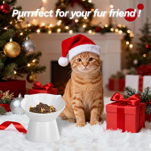 vootun Futternapf Katze,Katzennapf Erhöht mit 15 Grad Neigendem Design, Katzennapf für Katze Hunde Welpe Futter Und Wasser,Fressnapf Katze sind Leicht zu Reinigen,Schützen den Nacken,Weiß