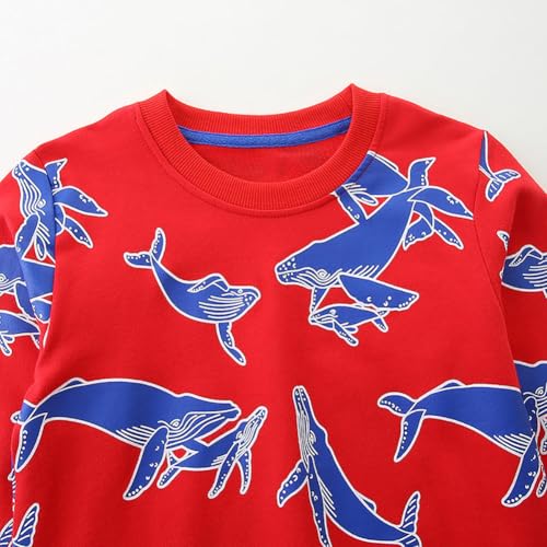 Boys Sweatshirts Casual Sweatshirts Cotton Sweatshirts Long Sleeve T-shirts Crew Neck Cartoon Tops for Boys-2954