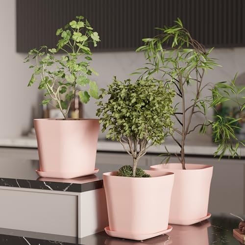 Image of StyleX Store Pack of 3 Square Plastic Flower Pot with Tray | Modern Indoor Outdoor Planter for Home Balcony Garden Office | Durable Lightweight Planter Pot | 6 Inch, Pink