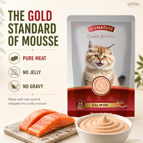 Image of Grain Zero Kitten Wet Mousse 80g Pack of 5, 400g | Salmon Flavour | Rich in Protein, Hydrating & Easy to Digest | Taurine for Heart & Vision Health | with Essential Vitamins & Antioxidants