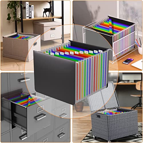 Plastic Expanding Hanging File Folders Letter Size,13 Expandable Pockets,Colored Monthly Tabs,Innovative Accordion Hanging Folder For Filing Cabinet,Fun Storage Office Supplies,Rainbow Black #TOP5