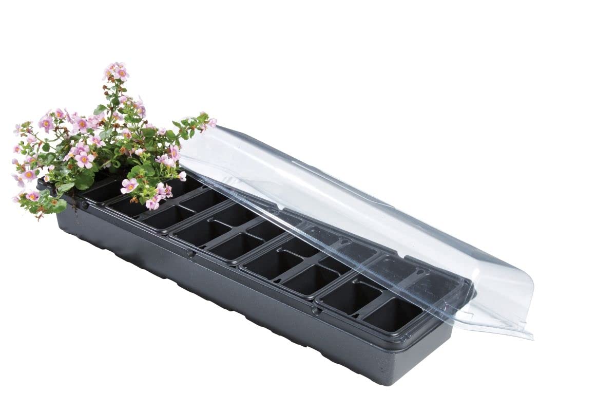 Muddy Hands 20 Cell Windowsill Propagator - Perfect Plant Germination Seedling Seed Stater Tray Kit (Made from Recycled Plastic)