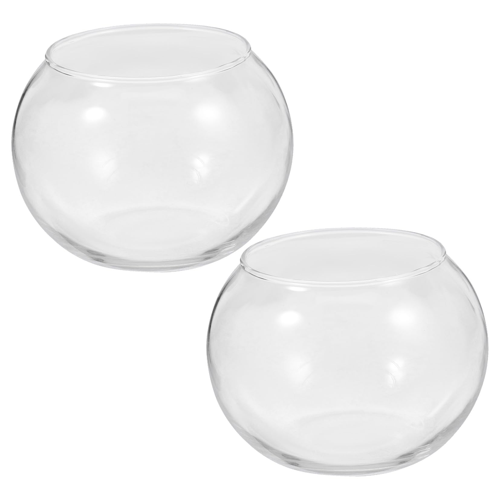 Piante Per Terrario in Kit Decorazione Stazione Propagazione Contenitore Trasparente Senza Sbavature Per Micro Paesaggi E Giardinaggio Fai Da Te