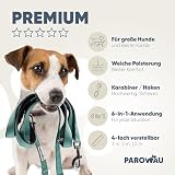 PAROWAU Hundeleine 3m [4-Fach verstellbar] + Hundespielzeug Ball [Zahnpflege Hund] Leine Hund Hundezubehör Hundeleine für große Hunde Hundespielzeug Intelligenz Hundespielzeug unzerstörbar (türkis)