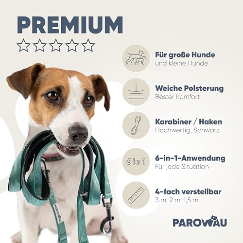PAROWAU Hundeleine 3m [4-Fach verstellbar] + Hundespielzeug Ball [Zahnpflege Hund] Leine Hund Hundezubehör Hundeleine für große Hunde Hundespielzeug Intelligenz Hundespielzeug unzerstörbar (türkis)