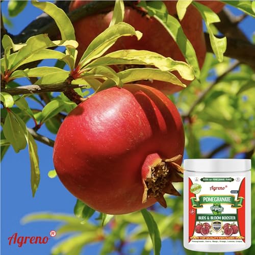 Agreno fertilizante orgánico granulado para granado 1 kg miniatura 2