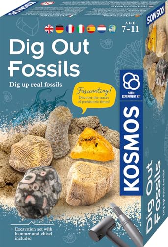 KOSMOS 617226 Fossilien Ausgrabungs-Set, Grabe echte Versteinerungen und Bernstein selbst aus, mit Hammer und Meißel, Experimentierset für Kinder ab 7 Jahre, mehrsprachige Anleitung