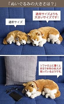 Amazon Co Jp ニニアンドキノ パーフェクトペット 柴犬 Lサイズ 約36cm ぬいぐるみ 犬 リアル 本物そっくり スヤスヤ息をしてるようにお腹が動く おもちゃ