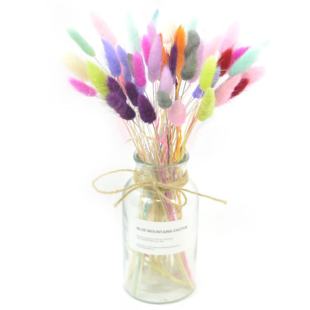 FOMIYES 60 Pcs Dried Rabbit Tail Grass Pampas Grass Real Bunny Tails Stems Natural Eternal Flower Bouquet Floral Arrangement Vase Filler for Farmhouse Wedding Blue-image-42