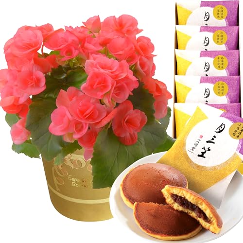 Ԃ̃Mtg [K[X  Mtg a v[g A  َq [K[XxRjA