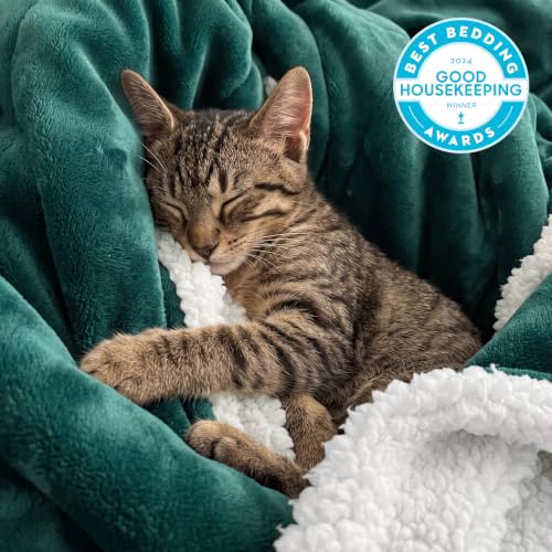 Image of Bedsure GentleSoft Sherpa Fleece Throw Blanket for Couch, Non-Heated, Thick and Warm Throw for Women and Men, Soft Fuzzy Plush Blanket for Winter, Room Home Decor Gifts, Forest Green, 50x60 Inches