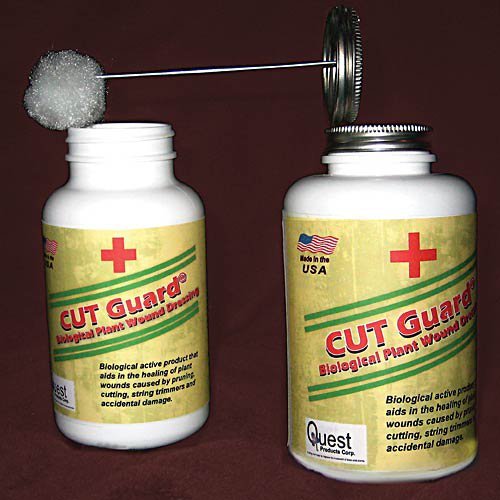 cut dressing Medical Gauze vs. Occlusive Dressing: What's The Difference?