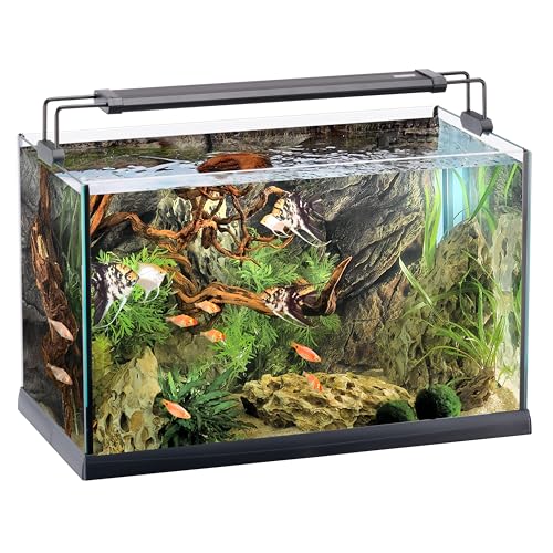 Ferplast Acquario 60 Litri in Vetro, Illuminazione LED 24W, Filtro Esterno, Acquario per Pesci Tropicali con Riscaldatore 100W, Vasca Aperta per Piante e Aquascaping 59,5 x 31,5 x 42 cm
